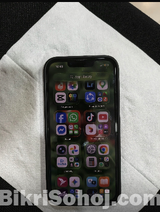 iPhone 13
